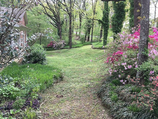 Photo of 914 Skyline Dr, Searcy, AR