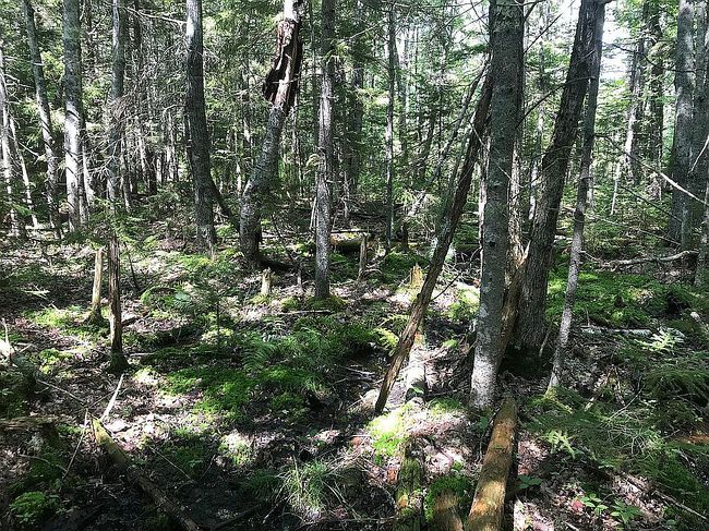 Photo of 29 State Rte 32 Lot 29, Round Pond, ME
