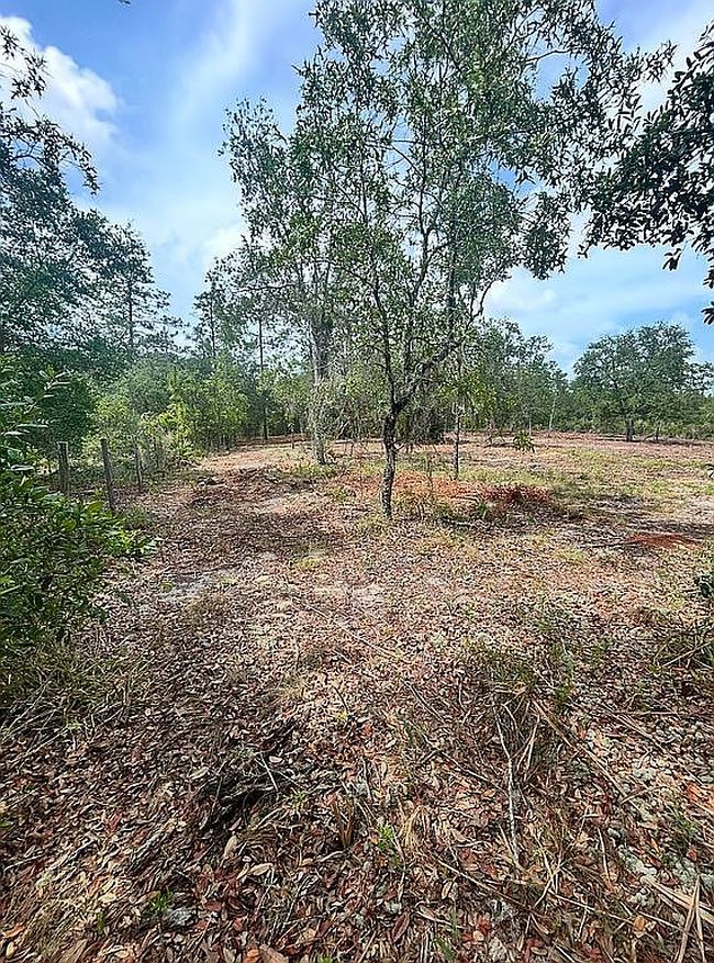 Photo of 0 Ne 92nd Pl, Bronson, FL