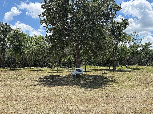 1174 County Road 407A, Nemo, TX