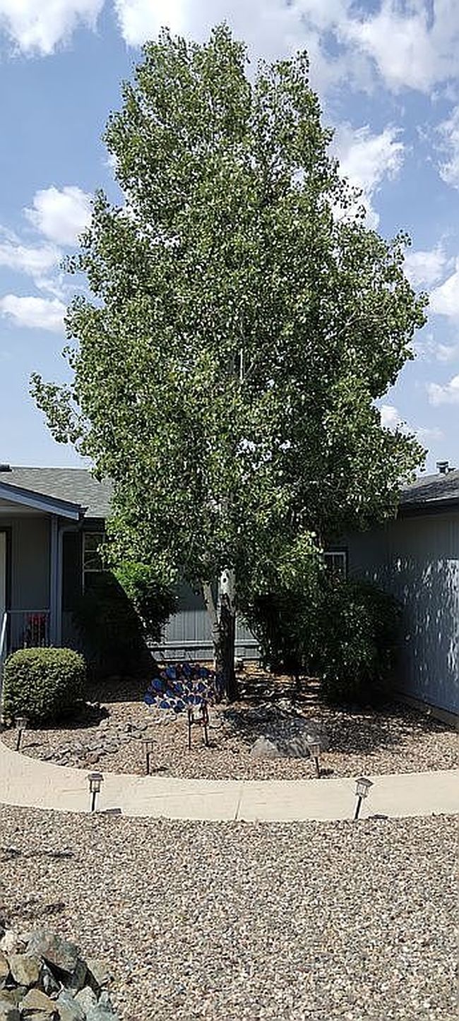 Photo of 1784 Sarafina Dr, Prescott, AZ