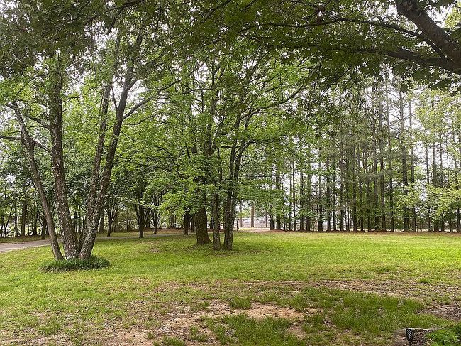 Image of 8898 Hailey Rd