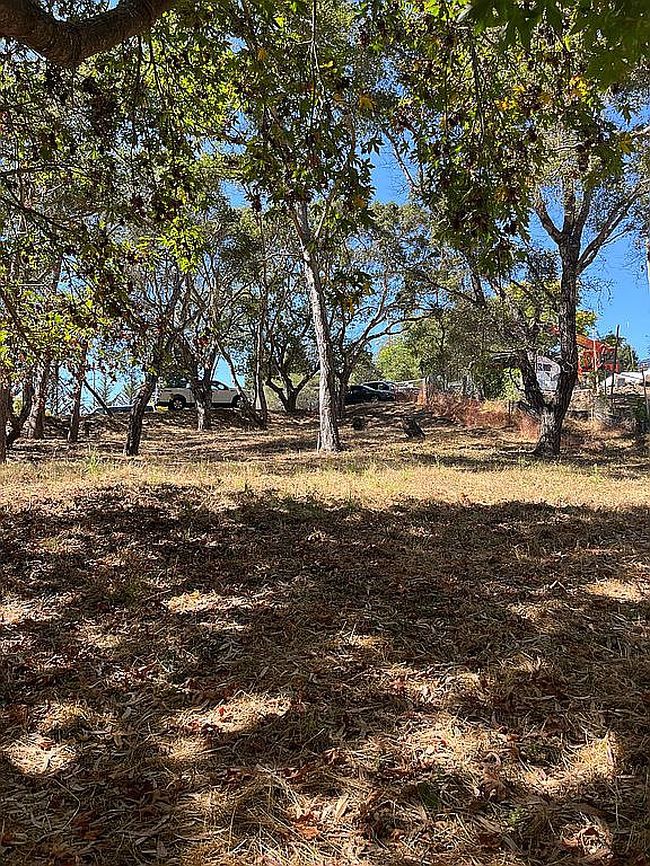 Image of 0 Park & Cabrillo College