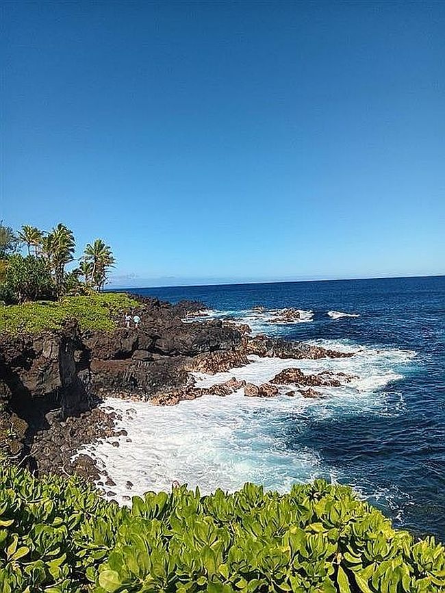 Photo of 16-1660 39th Ave, Kurtistown, HI