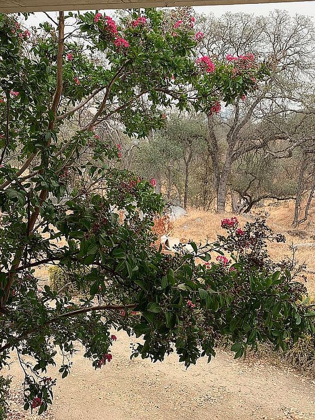 Image of 30367 E Trimmer Springs Rd Spc 36