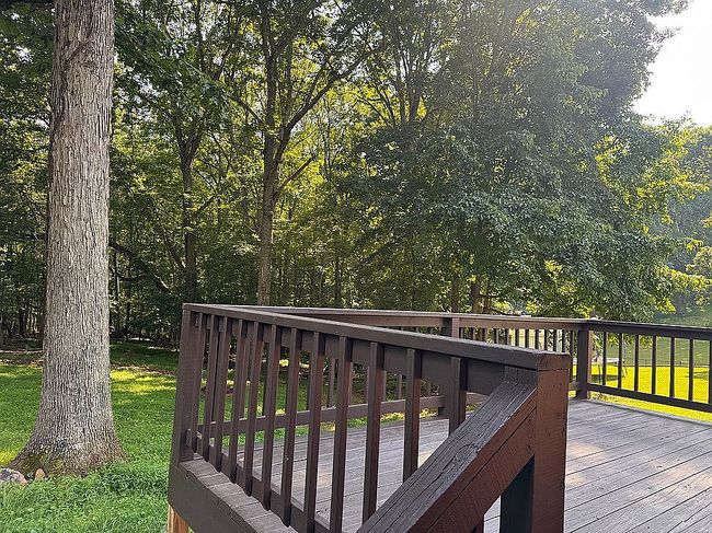 Photo of 117 Marvin Pl, Lynchburg, VA
