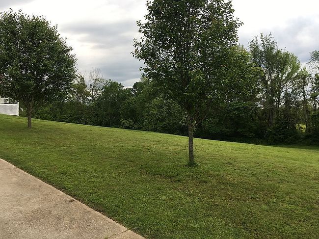 Photo of 5182 Highway T, Poplar Bluff, MO