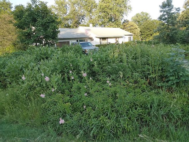 Photo of 6131 S Peck Ave, La Grange Highlands, IL