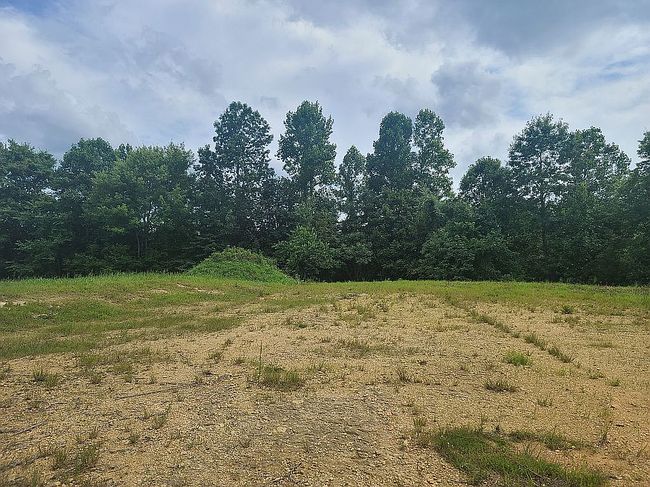 Image of 256 Terrapin Ridge Rd