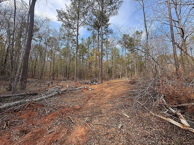 Photo of 412 Towaliga Trl, Forsyth, GA