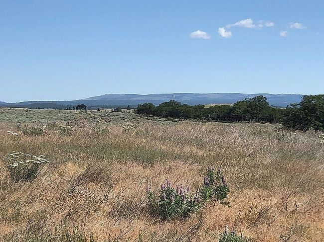 Photo of 50 Lightning Ln, Goldendale, WA