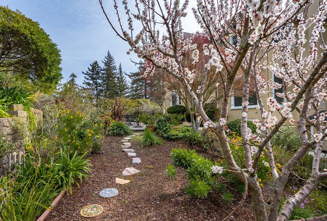 Image of 625 Lassen Park Ct
