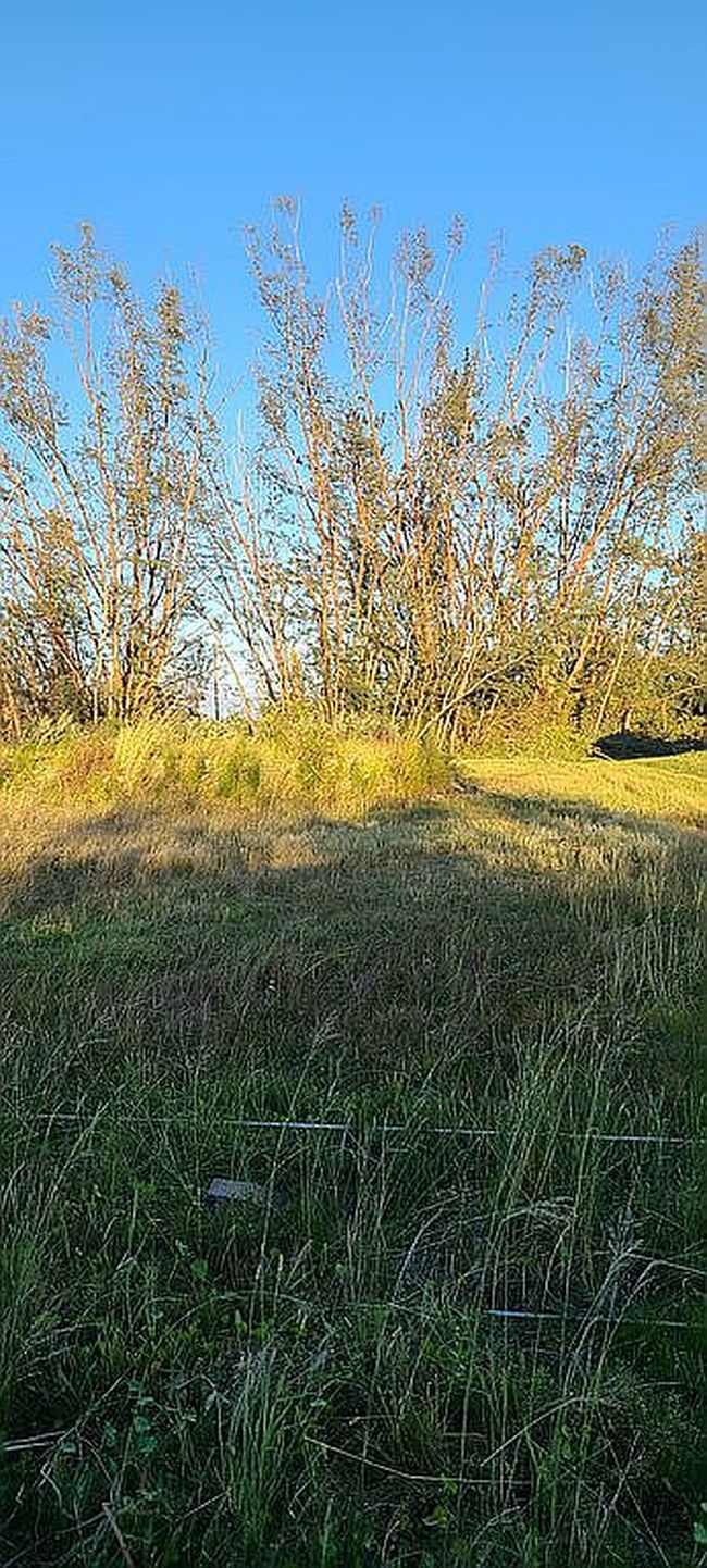 2512 Nw 12th St, Cape Coral, FL