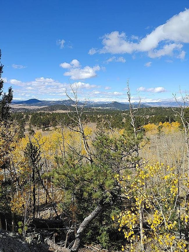 Image of 142 Bear Gulch Way
