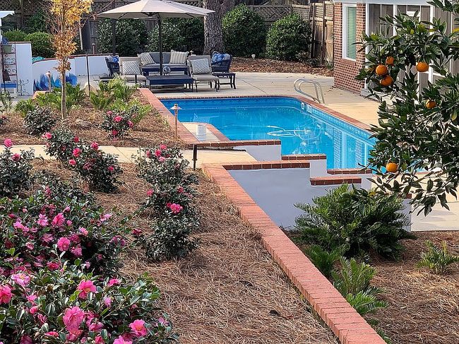 Image of 909 Circle Dr