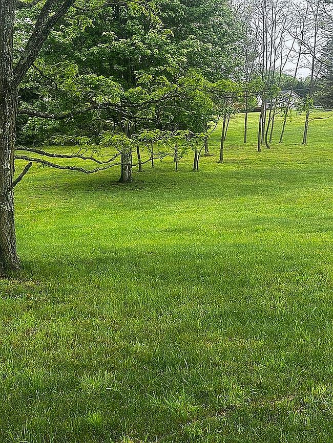 Image of 183 Rebecca Ln