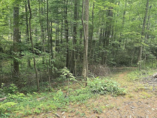Photo of 2844 Wolf Pen Gap Rd, Suches, GA
