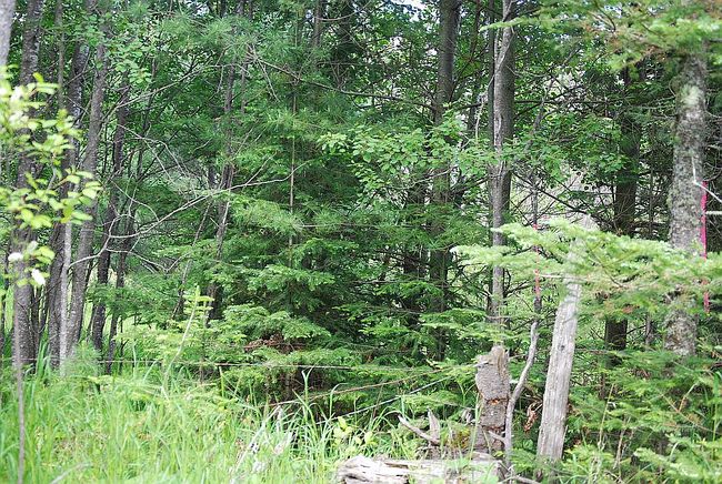 Photo of 65Xb Locust Rd, Duluth, MN