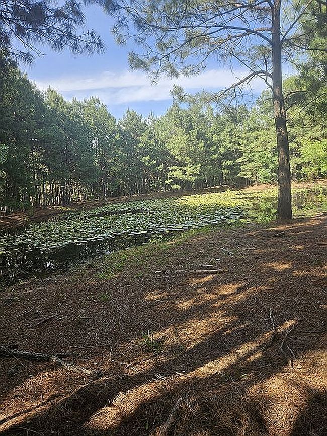 Image of 42055 E 1920th Rd