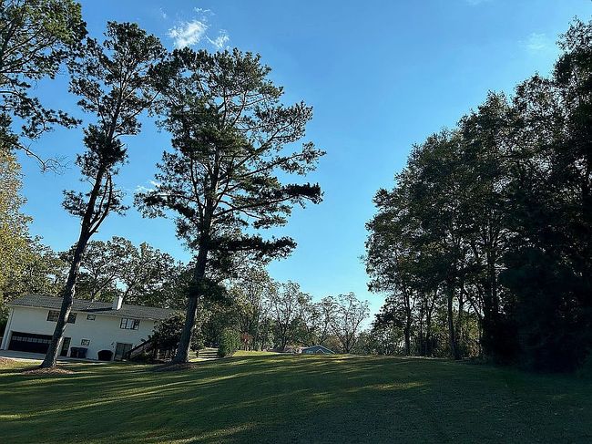 Photo of 354 Johnson St Lot 1, Senoia, GA