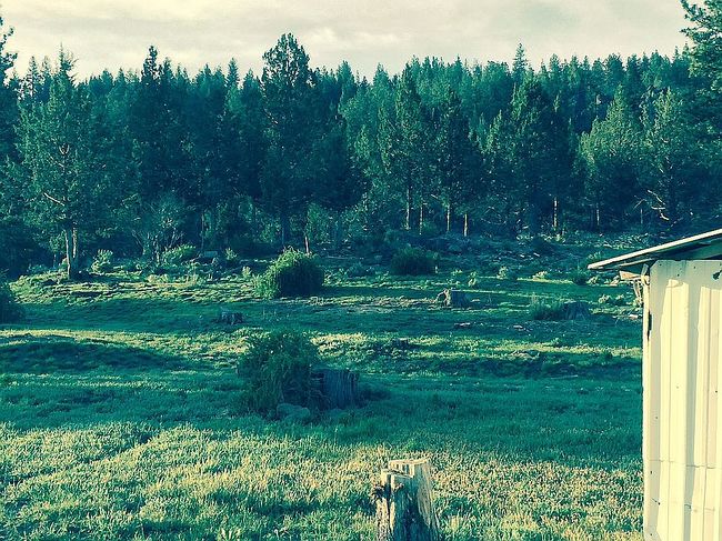 Photo of 19131 Yellow Jacket Springs Rd, Beatty, OR