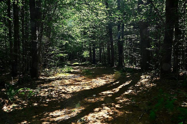Photo of 862 E Putney Brook Rd, Westminster, VT