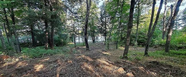 Photo of Smokey Lake Rd Lot 5, Iron River, MI