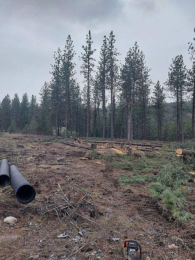 Photo of 92 River Bend Rd, Superior, MT