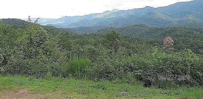 Photo of 397 Graybeard Mountain Trl, Marble, NC