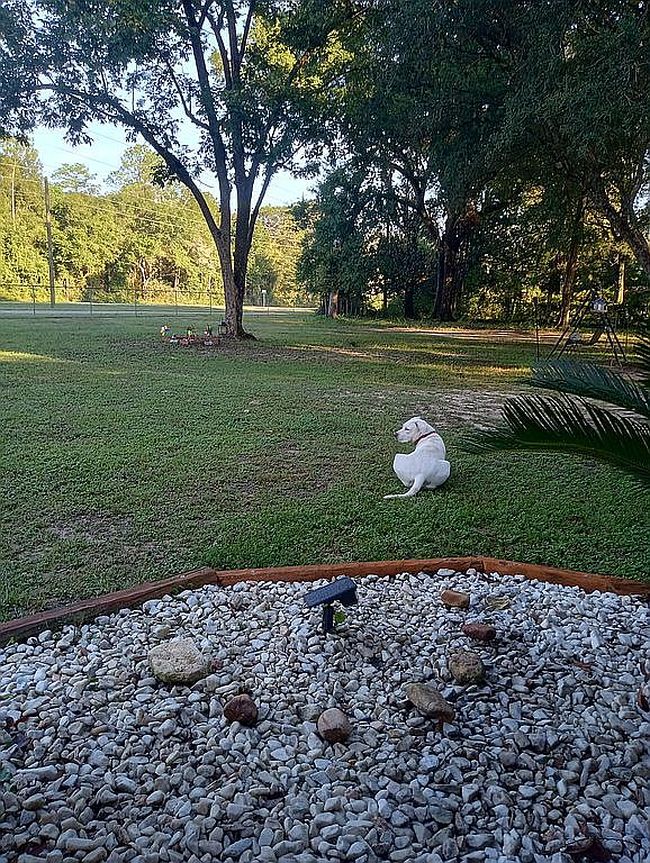 Photo of 7670 Whiting Field Cir, Milton, FL