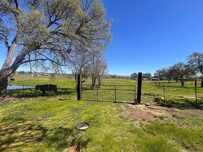 Image of 10348 Milton Rd