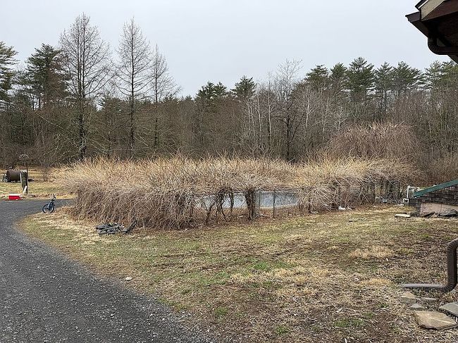 Image of 146 Finch Rd