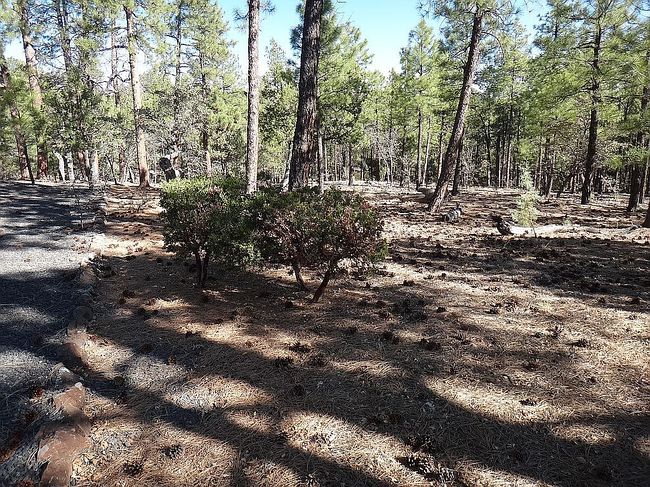 Additional photo 3 of property located at 2200 S Columbine Ct