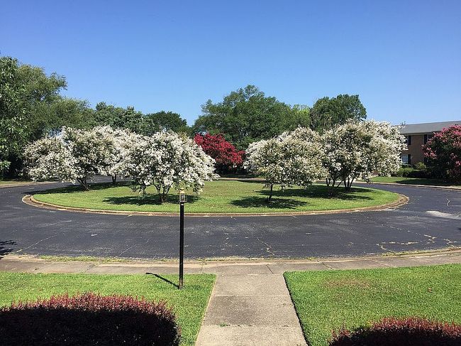 Additional photo 3 of property located at 1205 Bailey Cove Cir Se Apt B