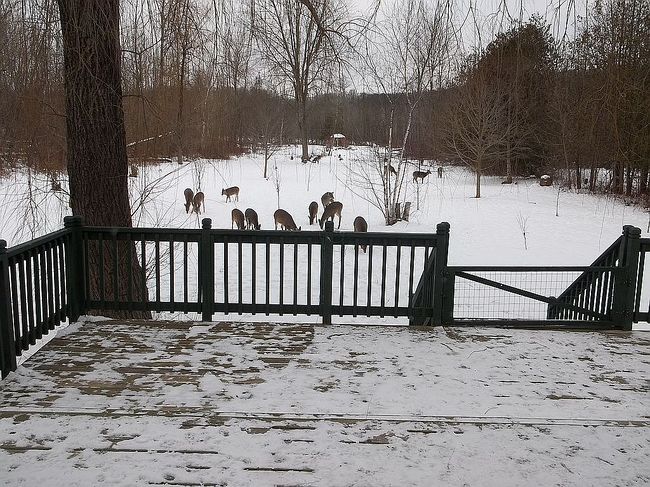 Image of 4507 Mollineaux Rd