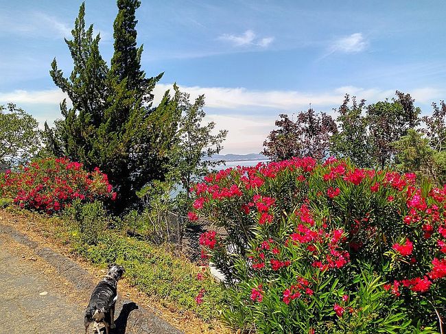 Photo of 3091 Riviera Heights Dr, Kelseyville, CA