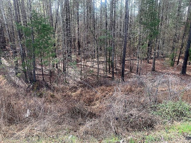 Image of Highway 205 Hoke Rd