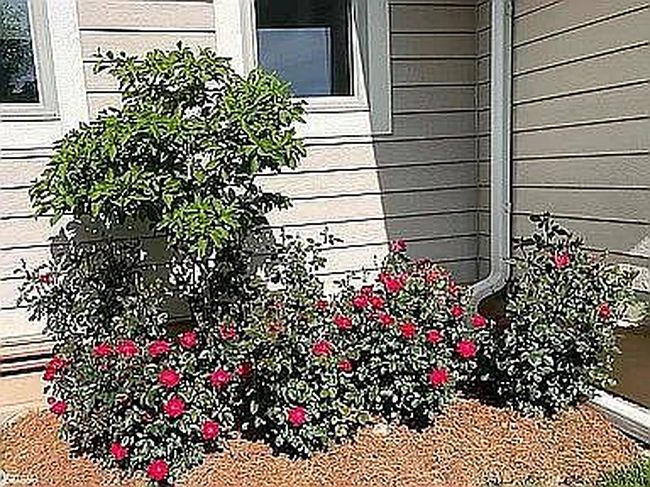 Image of 2040 Sapphire Ln #2