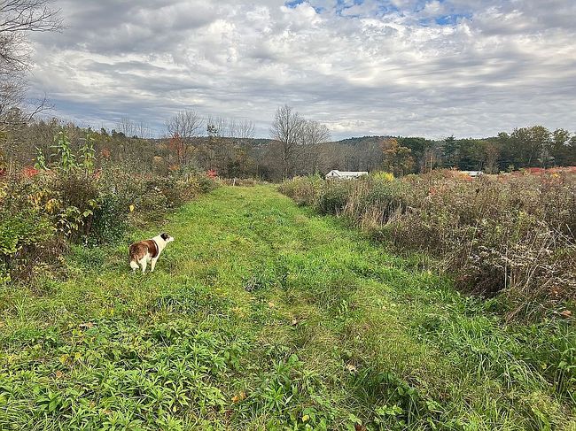 Photo of 2137 Brockways Mills Rd, Chester, VT