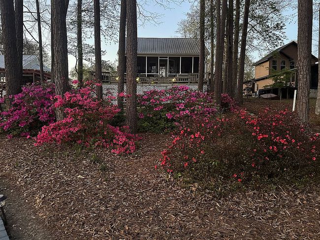 5 Thomas Mill Ct, Abbeville, AL