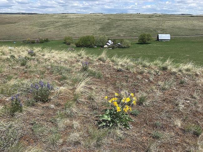 Image of 69044 Golf Course Rd