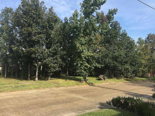 Photo of 2236 Barbe St, Lake Charles, LA