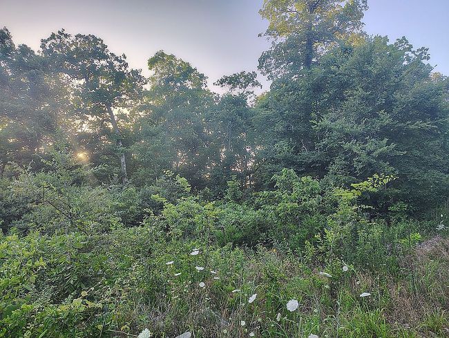 Photo of 1389 Peaceful Ln #3, Yellville, AR