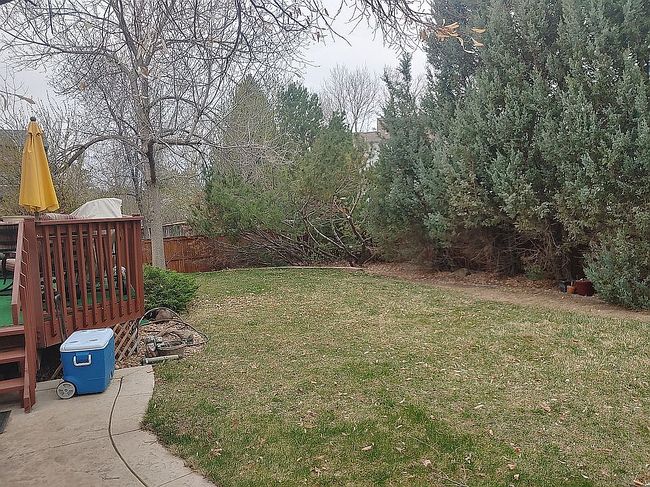 Image of 10015 Silver Maple Rd