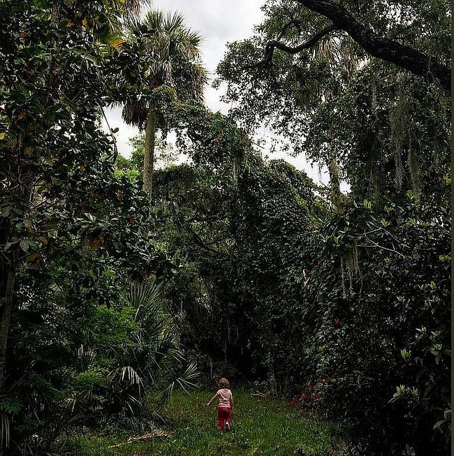 Image of 1252 Country Rd