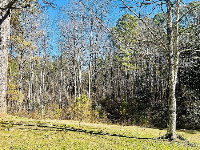 Image of 3392 County Road 66