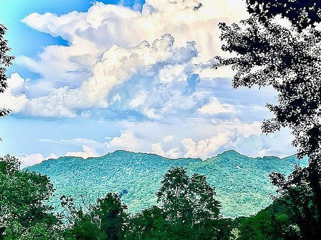 Photo of 367 Biodome Dr, Waynesville, NC