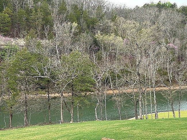 Image of 103 Silver Oak Way