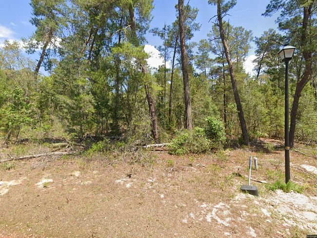 Image of 20 Dianthus Ct