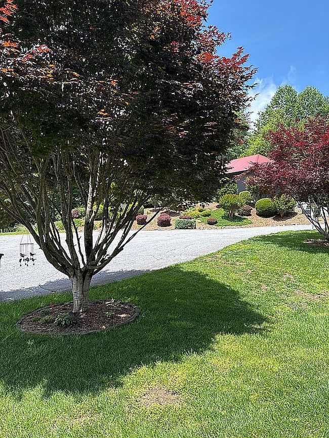 Image of 89 Dallas Dr